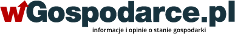 wGospodarce